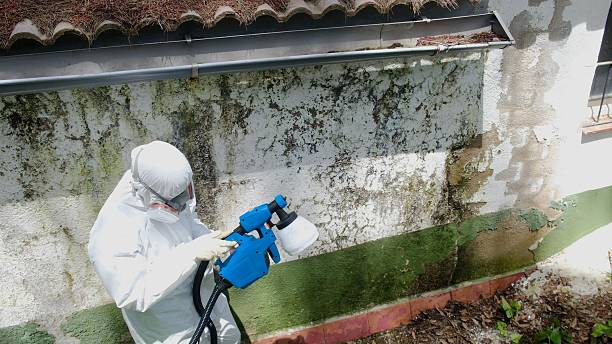 Top rated local Crawl Space Mold Remediation specialists in Grantville, PA